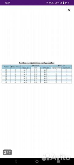 Куртка для собак