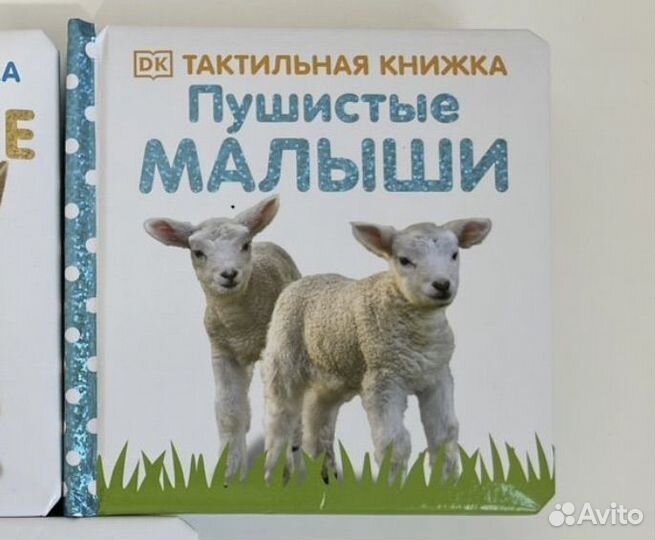 Книжки издательства Clever