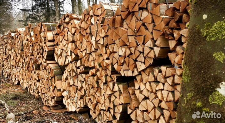 Дрова лиственные