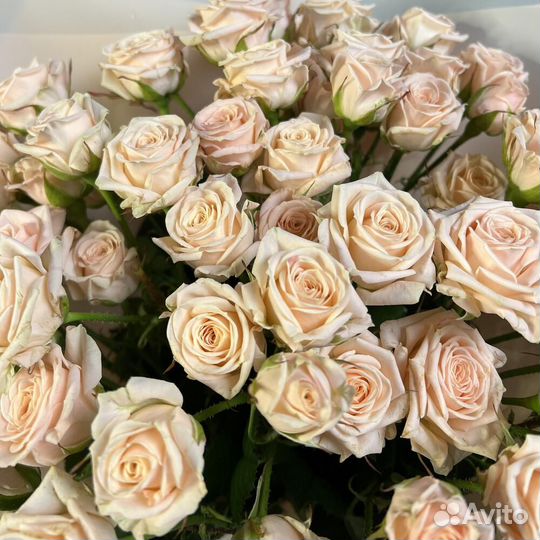 Охапка кустовых роз