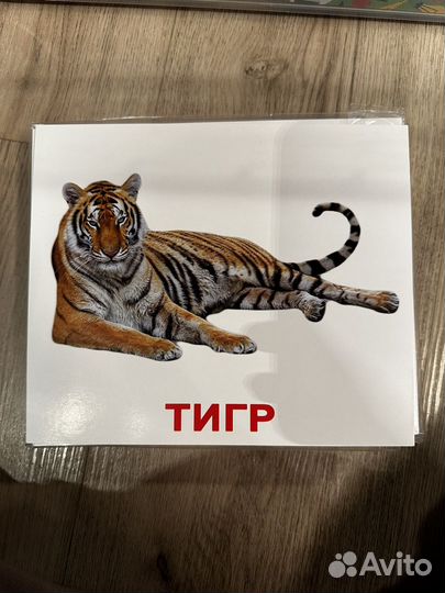 Карточки Вундеркинд с пеленок