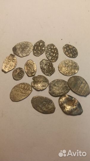 Монеты (чешуя)