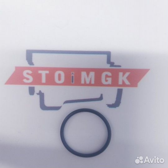 Уплотнительное кольцо (304254300 ) (Price 2023)