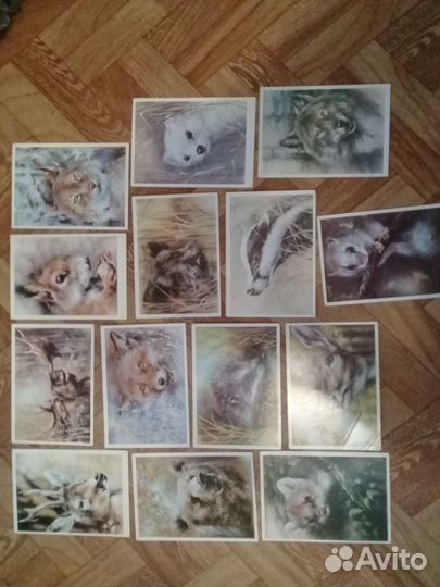 Открытки 78-89 гг