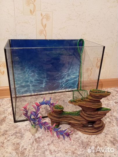 Аквариум