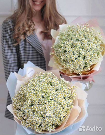 Букеты ромашек