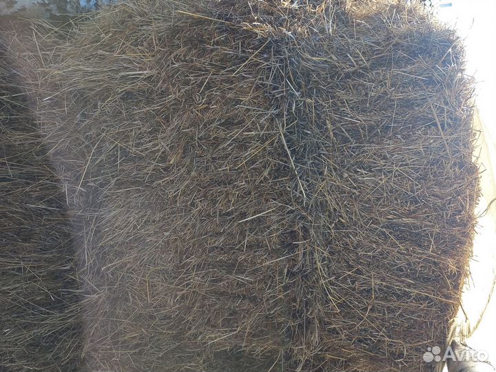 Сено в тюках