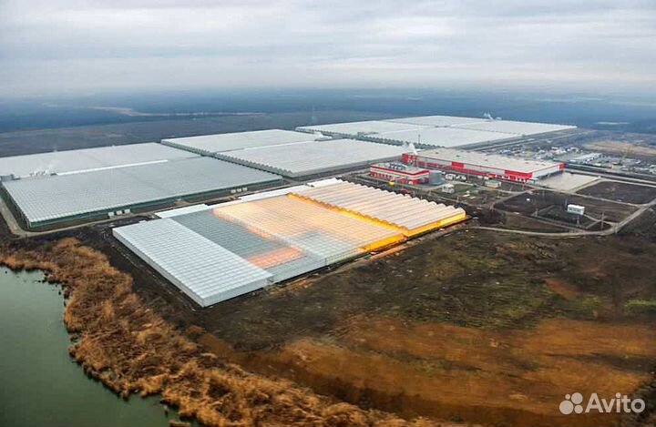 Сотрудники в теплицы