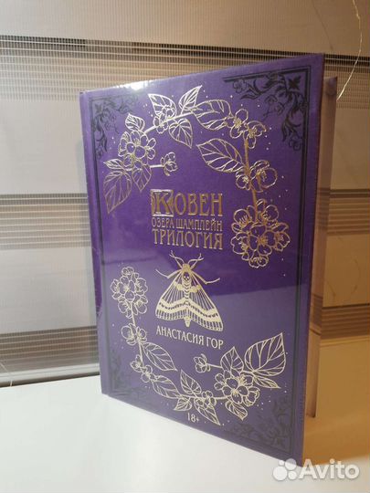 Книга Ковен озера Шамплейн, Анастасия Гор