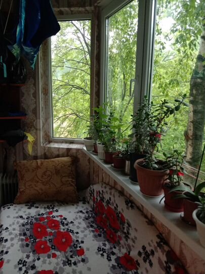 Комната 19,1 м² в 3-к., 3/3 эт.