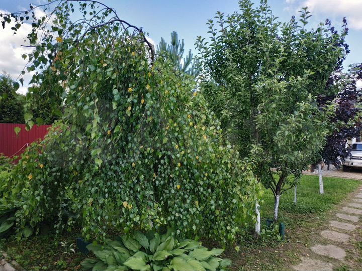 Дом 150 м² на участке 8 сот.