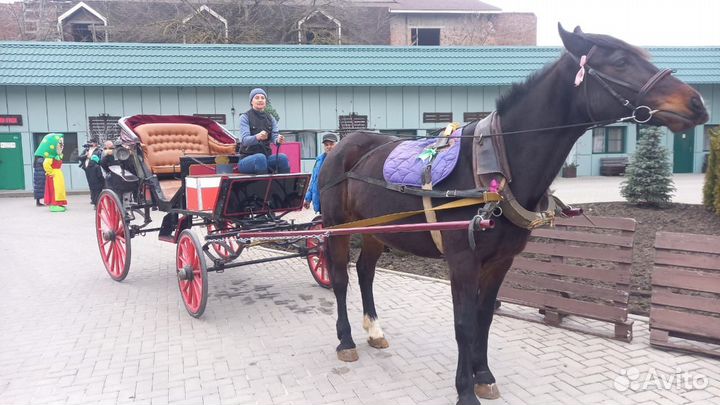 Карета фаэтон экипаж