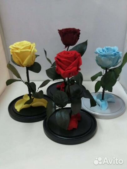 Цветы оптом