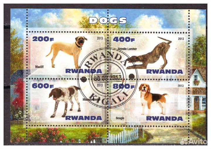 Домашние животные (Почтовые марки, блоки)