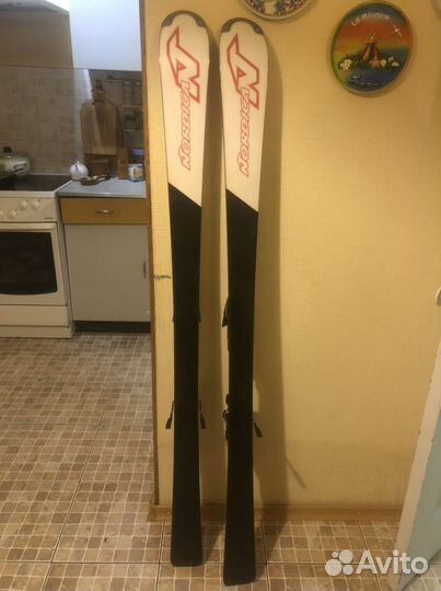 Горные лыжи