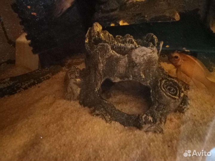 Декорации для аквариума