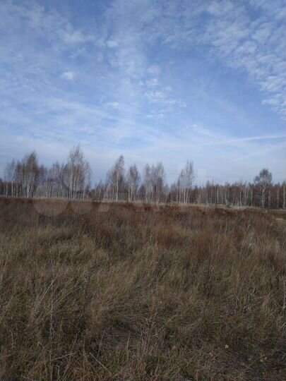 Участок 53 га (СНТ, ДНП)