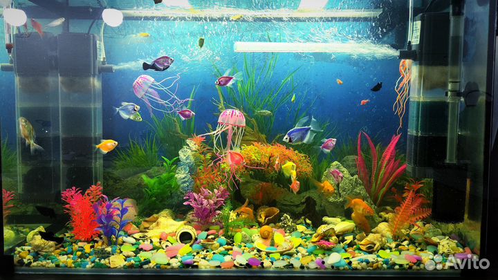 Аквариум 140 литров под ключ все в комплекте