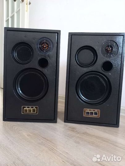 Колонки акустика вега 25ас 2