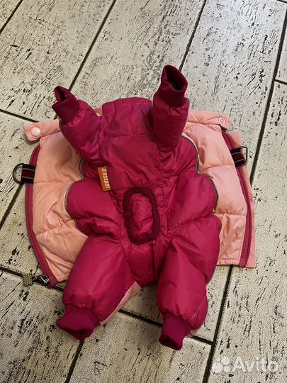 Одежда для маленьких собак