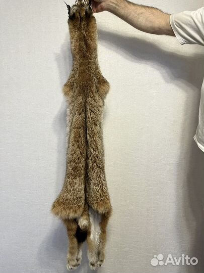 Шкура. Рысь. Имитация