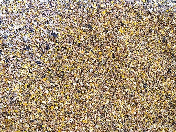 Дробленая Зерносмесь 9 компонентов для Кур Несушек