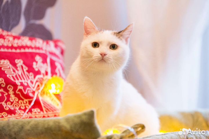 Машенька хочет стать счастливой