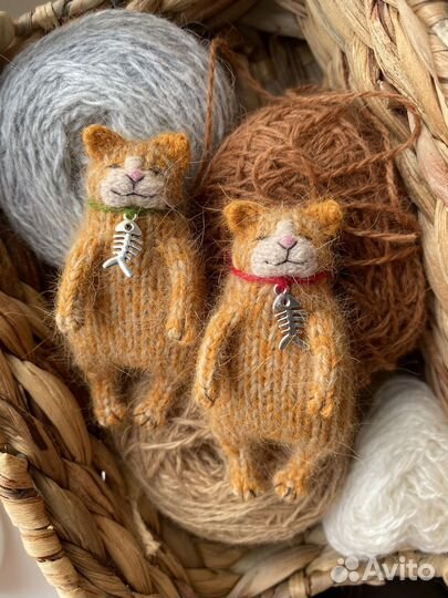 Котики в ошейниках