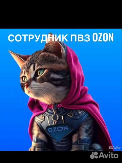 Сотрудник пвз озон