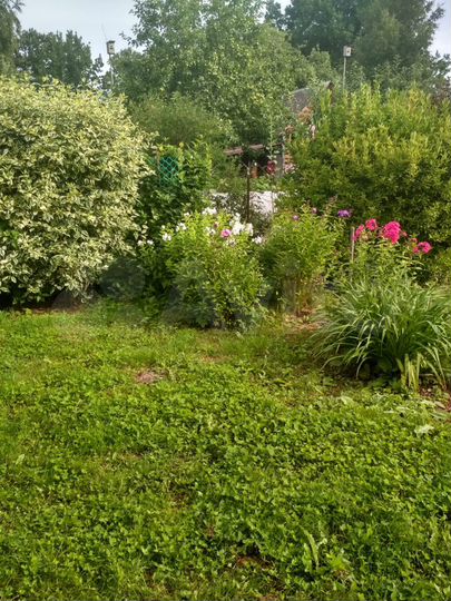 Дача 54 м² на участке 6 сот.