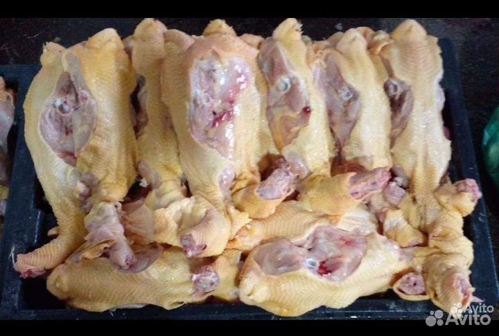 Куриные спинки (къамкъаргаш шеи)