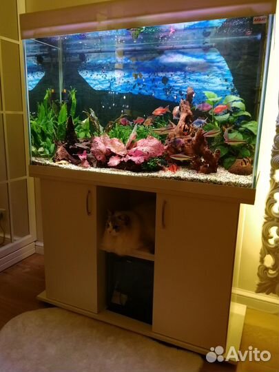 Продается аквариум 280л(белый)