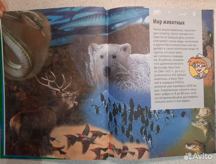 Энциклопедия Животные планеты