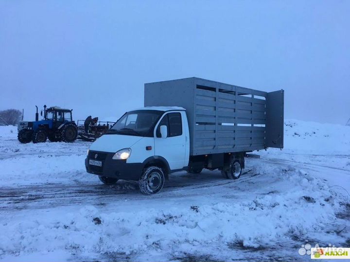 Скотовоз, грузоперевозки по рб и РФ