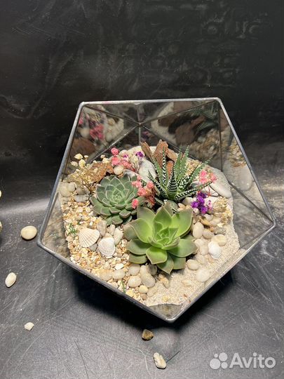 Флорариум мини садик с суккулентами