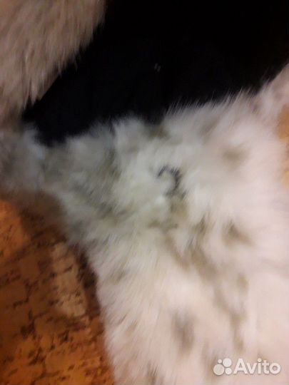 Шапка huppa Новая 51/53