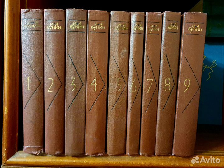 Сочинения И.А. Бунин А.И. Куприн