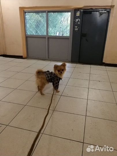 Парень согласен жениться