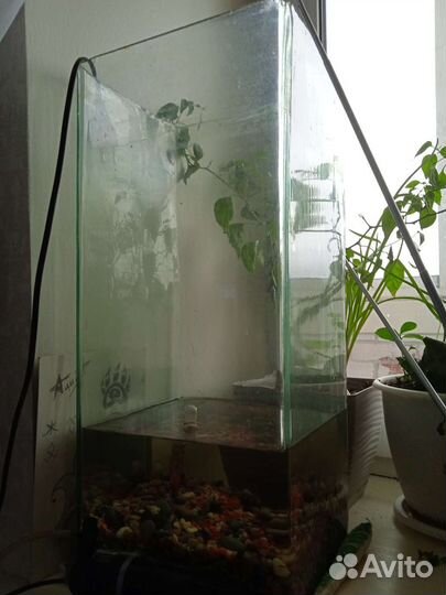 Аквариум цельнолитой