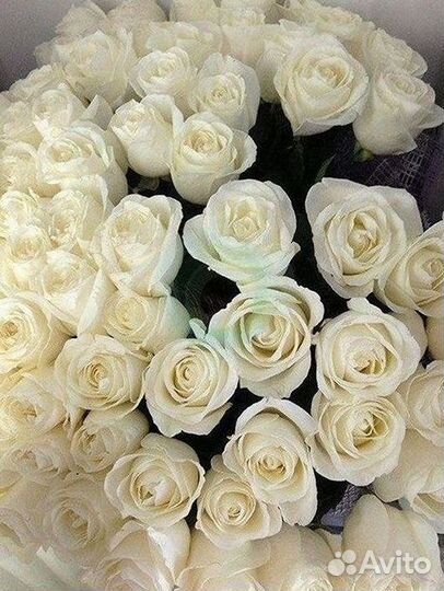 Высокие розы Букеты с доставкой