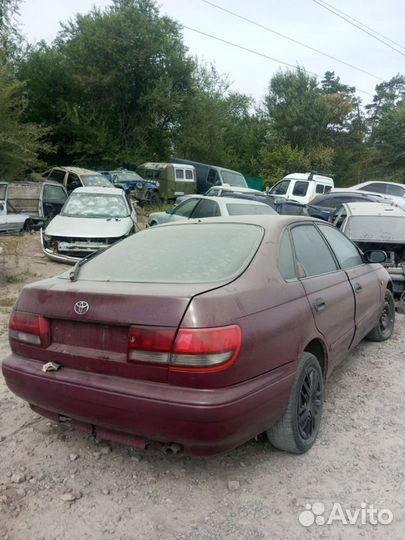 Toyota carina в разборе