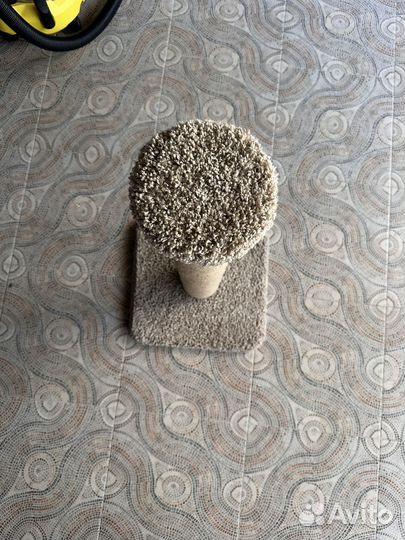 Когтеточка