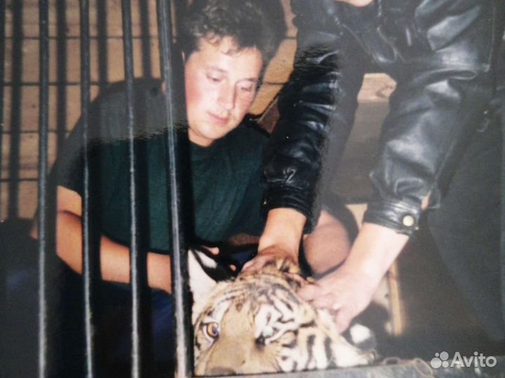 Стерилизация, кастрация, вакцинация кошек, собак