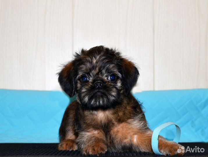 Северный парень