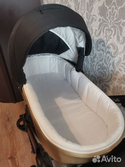 Коляска Adamex Cortina 2 в 1