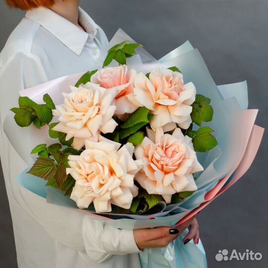 Рoзы Цветы Букеты 25 31 51 151 201 101 301 501 100