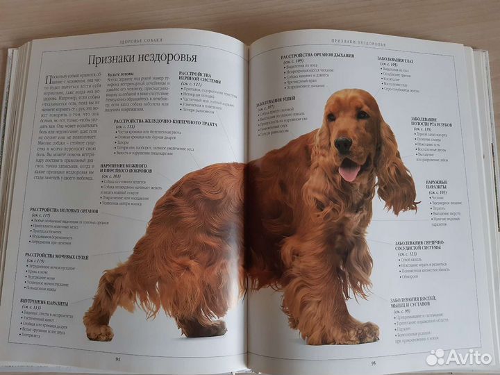 Книга о собаках