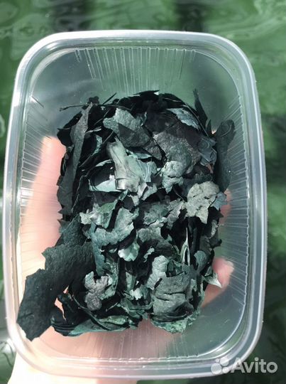 Живая сушеная спирулина