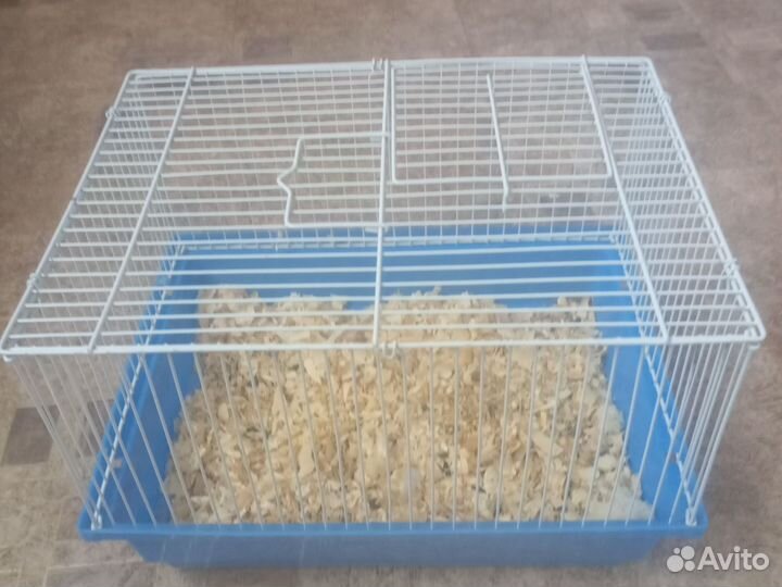 Хомяк с клеткой