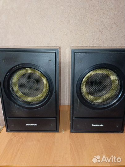 Колонки Романтика 10ас-207